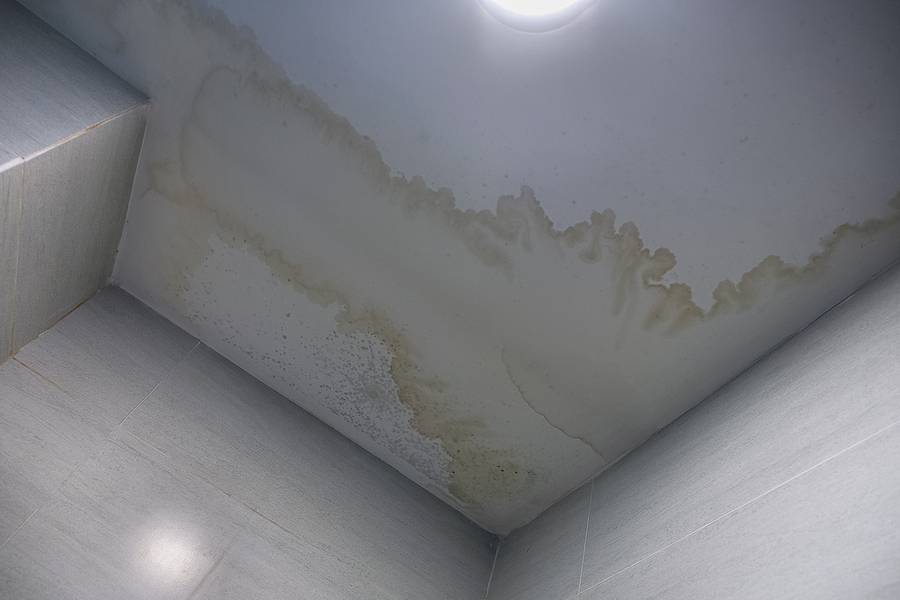The Importance of Proper Ventilation in Your Bathroom
